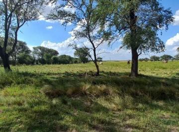Terreno · 1250m² · Terreno en 12 de Octubre E/ Belgrano y San Martin