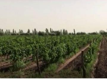 Campo · 80m² · Finca con Casco de Estancia en Palmira