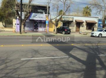 Terreno , Luján de Cuyo · Venta Terreno en Lujan de Cuyo