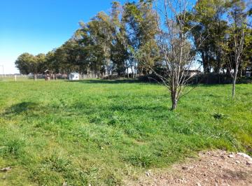 Terreno · 2187m² · Terreno en Uribelarrea, Cañuelas