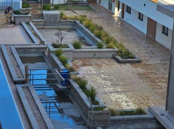 Departamento · 50m² · 2 Ambientes · 1 Cochera · Venta Depto 1 Hab + Jardin + Cochera Chacras