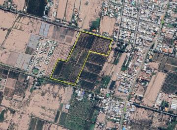 Campo · 78200m² · Finca de 8 Has Apta Para Loteo en Venta en Coquimbito