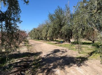 Campo · 78200m² · Finca de 8 Has Apta Para Loteo en Venta en Coquimbito