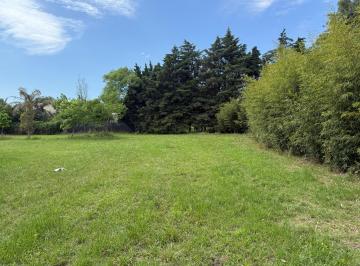 Terreno , Ricardone · Importante Terreno en Ricardone 1370 m²
