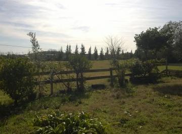 Campo · 90ha · Campo en Venta en Los Hornos