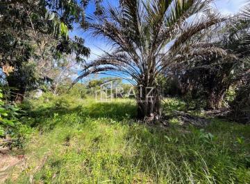 Foto1 · Venta Terreno 520 m El Chorro