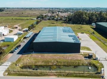 Depósito · 1320m² · Alquiler Depositos o Nave Industrial Ruta 101