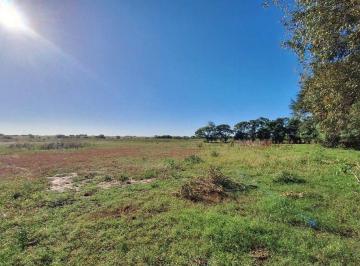Campo · 8ha · Campo en Venta en Guerrico