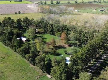 Campo de 7 ambientes, San Andrés de Giles · Parcela de 12 Ha a 500 m de La Ruta, Subdividido en 7 Parcelas.