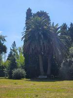 Terreno · 850m² · Terreno en La Reserva Natural Links Erratchu, Ezeiza