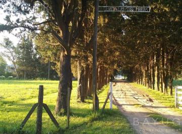 Terreno · 40000m² · Venta Fracción en Pilar – Ideal Desarrollo - Apto Loteo