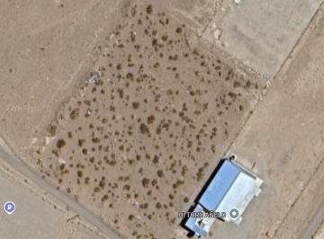 Terreno · 5000m² · Terreno en Venta - 5.000 m² - Neuquén