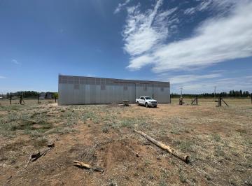 Bodega-Galpón · 300m² · Galpón en Alquiler
