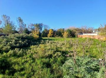 Terreno , La Plata · Venta de Lotes en Bloque – Oportunidad Única en Ubicación Estratégica