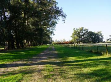 Campo de 4 ambientes, Exaltación de la Cruz · Campo en Venta de 8 Hectáreas en Exaltación de La Cruz
