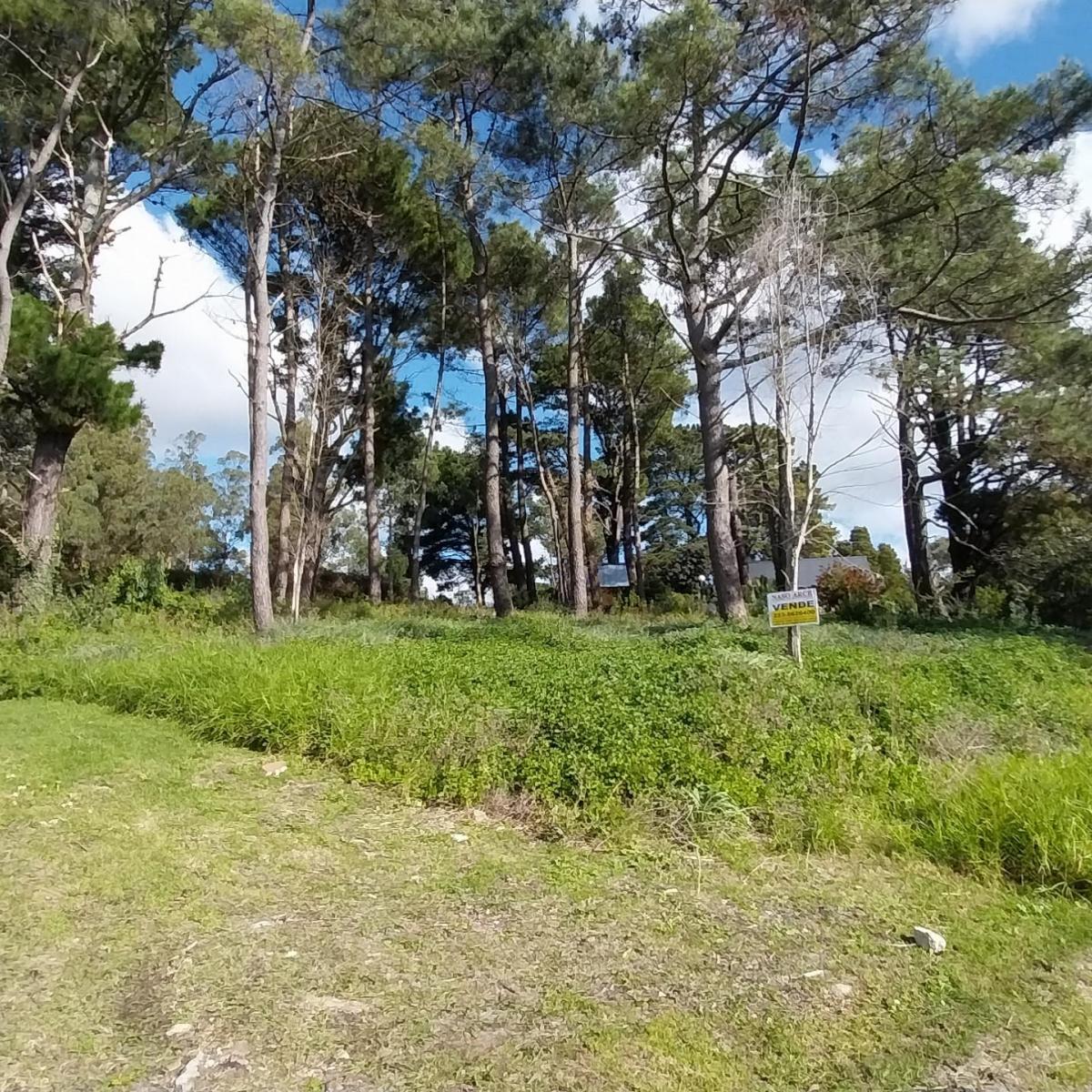 Hermoso lote en venta en Sierra de los Padres, a pocas cuadras de la entrada
