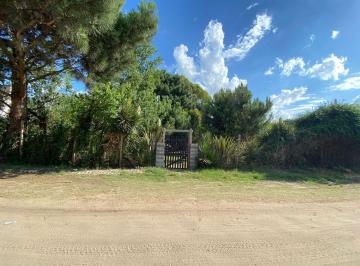 Terreno · 612m² · Venta Lote Ostende