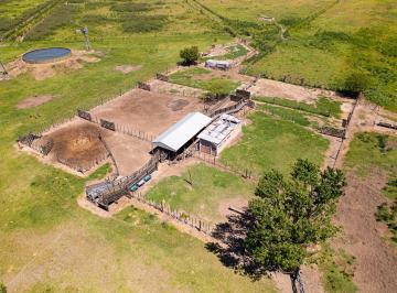 portada · Campo Feedlot Venta Diversos Usos Comerciales Pueblo Muñoz