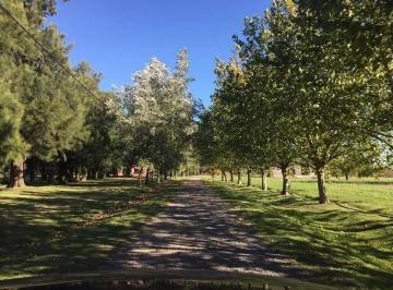 Terreno · 7700m² · Chacra en Venta - 7700 m² - Monte