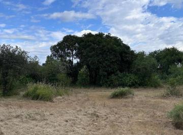 Terreno · 6852m² · Oportunidad Terreno con Escritura en Villa de Las Rosas!