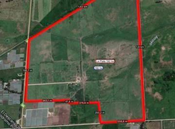 Campo · Campo 192 Ha Excelente Ubicación Sobre Ruta 36