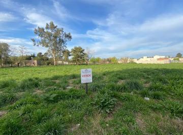 Terreno · 621m² · Venta de Lote Coronel Brandsen Barrio La Dolly 2