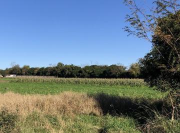 Campo · 80000m² · Chacra en Pavon