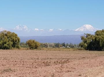 Campo , Luján de Cuyo · Venta Finca Inculta 11 Has en Agrelo Luján de Cuyo Ideal Enoturismo
