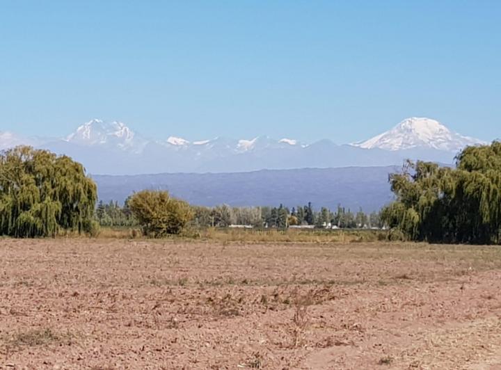 Campo · 320m²