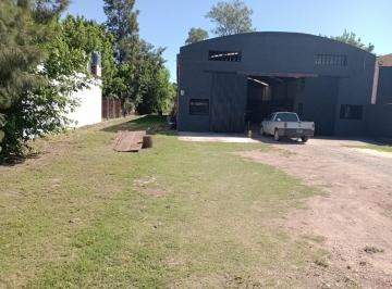 Bodega-Galpón · 432m² · Galpon en Autovia 19 - Santo Tome