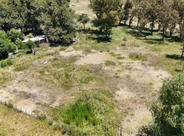 Terreno · 1915m² · Terreno en Venta en Abbot Sobre Ruta 3