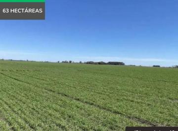 Campo · 629999m² · Campo Mixto de 63 Ha en General Rojo