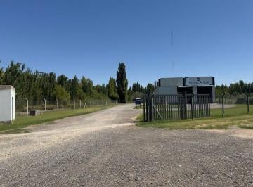 Bodega-Galpón · 450m² · Venta de Galpón Cipolleti