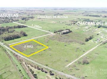 Campo · 30000m² · Chacra en Cañuelas