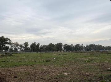Terreno · 100m² · Alquiler - Fracción con Vivienda en San Vicente - Apto Varios