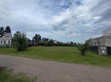 Terreno · 980m² · Terreno - Los Nogales