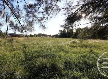 Terreno · 5000m² · Terreno en Venta en Presidente Perón