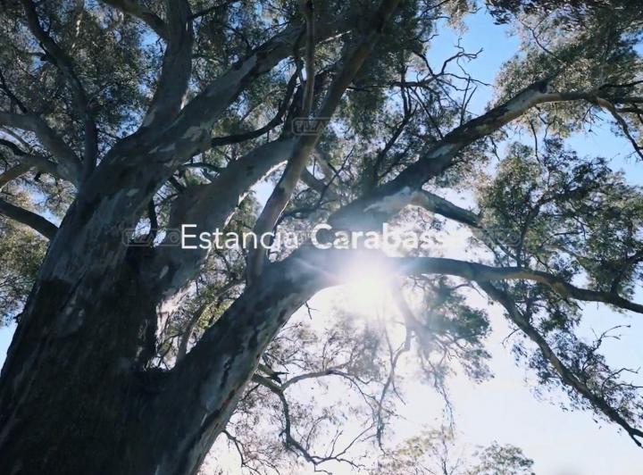 Desarrollo horizontal · Emprendimiento Estancia Carabassa en Estancia Carabassa, Pilar, G. B. a. Zona Norte