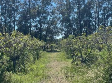 Terreno · 42959m² · Venta de Lote/terreno en Baradero