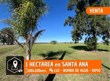 Campo , Avellaneda · 1 Hectarea - en Esquina - Sobre Ripio - Santa Ana