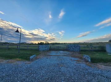 Campo · 10000m² · Venta Chacra de 1 Ha en Zelaya, Pilar, Buenos Aires