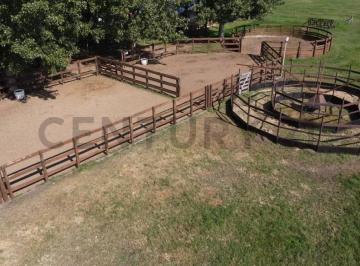 Campo · 300m² · Casa a La Venta en San Miguel del Monte