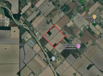 Terreno · 2147483647m² · Venta Campo Colonia Caroya