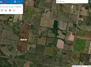 Campo · 360000ha · Campo en La Paz, Entre Rios