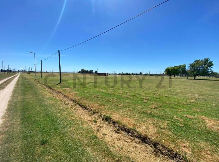 Terreno · 1000m²