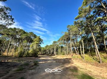 Terreno · 1380m² · Terreno en Venta, Los Enebros, Cariló