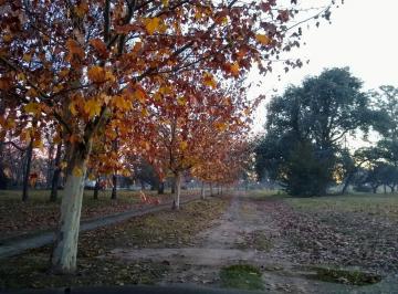 Terreno · 2275m² · Terreno en La Asuncion