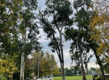 Terreno , Ibarlucea · Terreno en Venta en Logaritmo 10 X 30 m