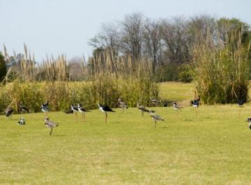 Terreno · 2001m² · Lote 2000 m² Everlinks Golf And Country Club.