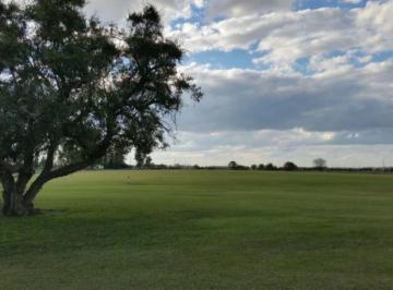 Campo · 12000m² · Campo Venta - 1,2 Hectáreas - Chacras de La Trinidad
